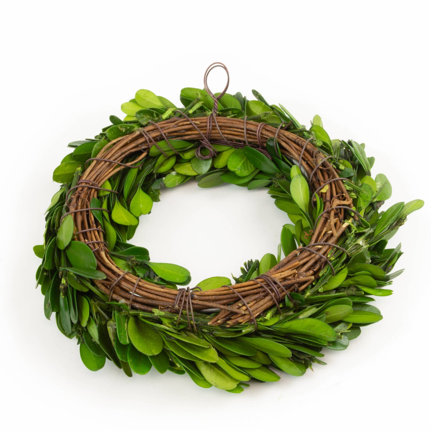 Preserved Boxwood Candle Ring - 6 Inch