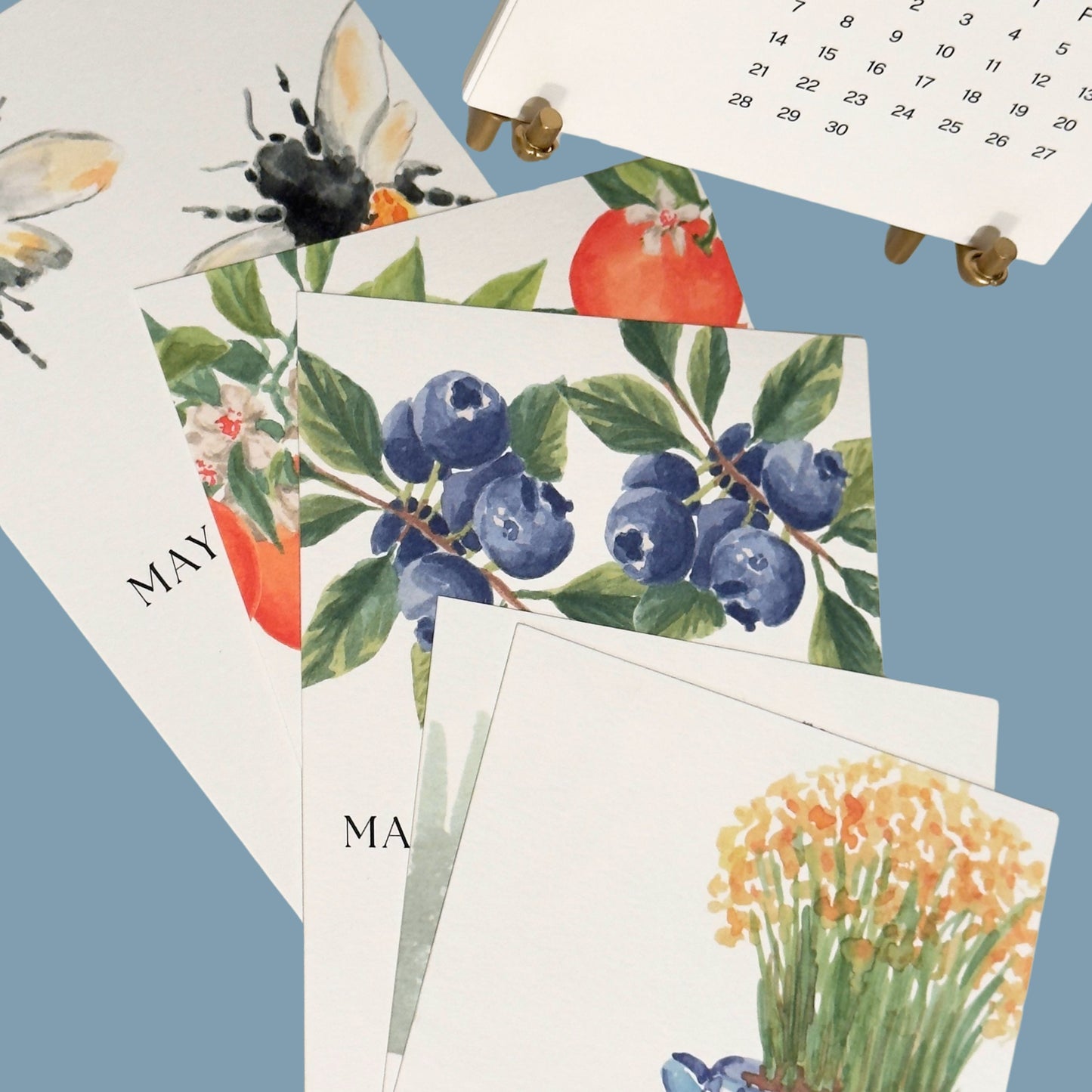 2026 Watercolor Desk Calendar – 5x7” Illustrated Art Calendar by Emily Plank Artist