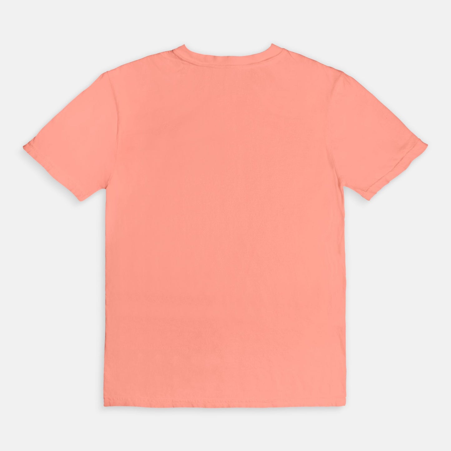 Lakeland Landmarks Comfort Colors Tee 1717 Terracotta