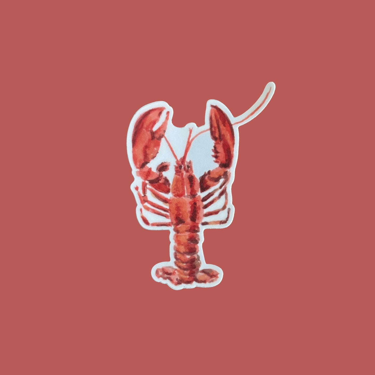 Florida Wildlife Stickers – Watercolor Animal Vinyl Stickers