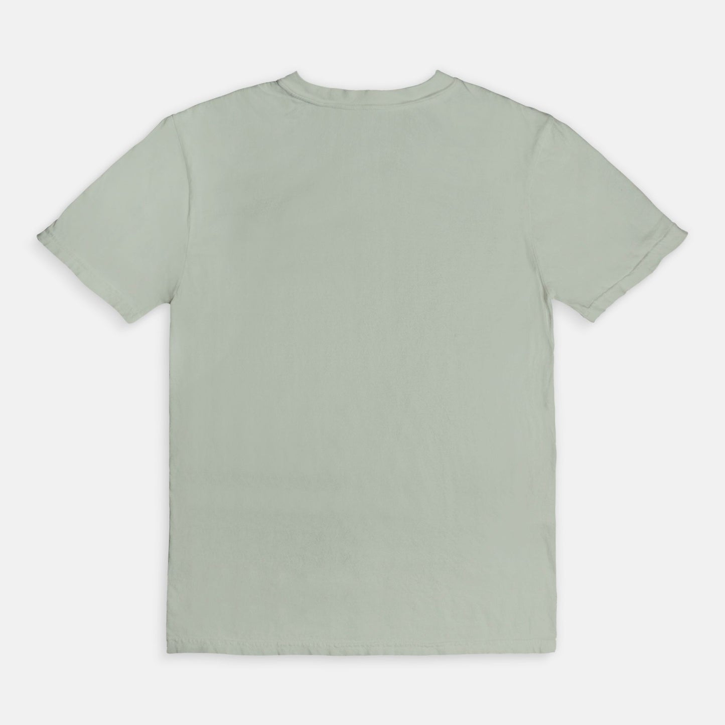 Lakeland Landmark Comfort Colors Tee 1717 BAY