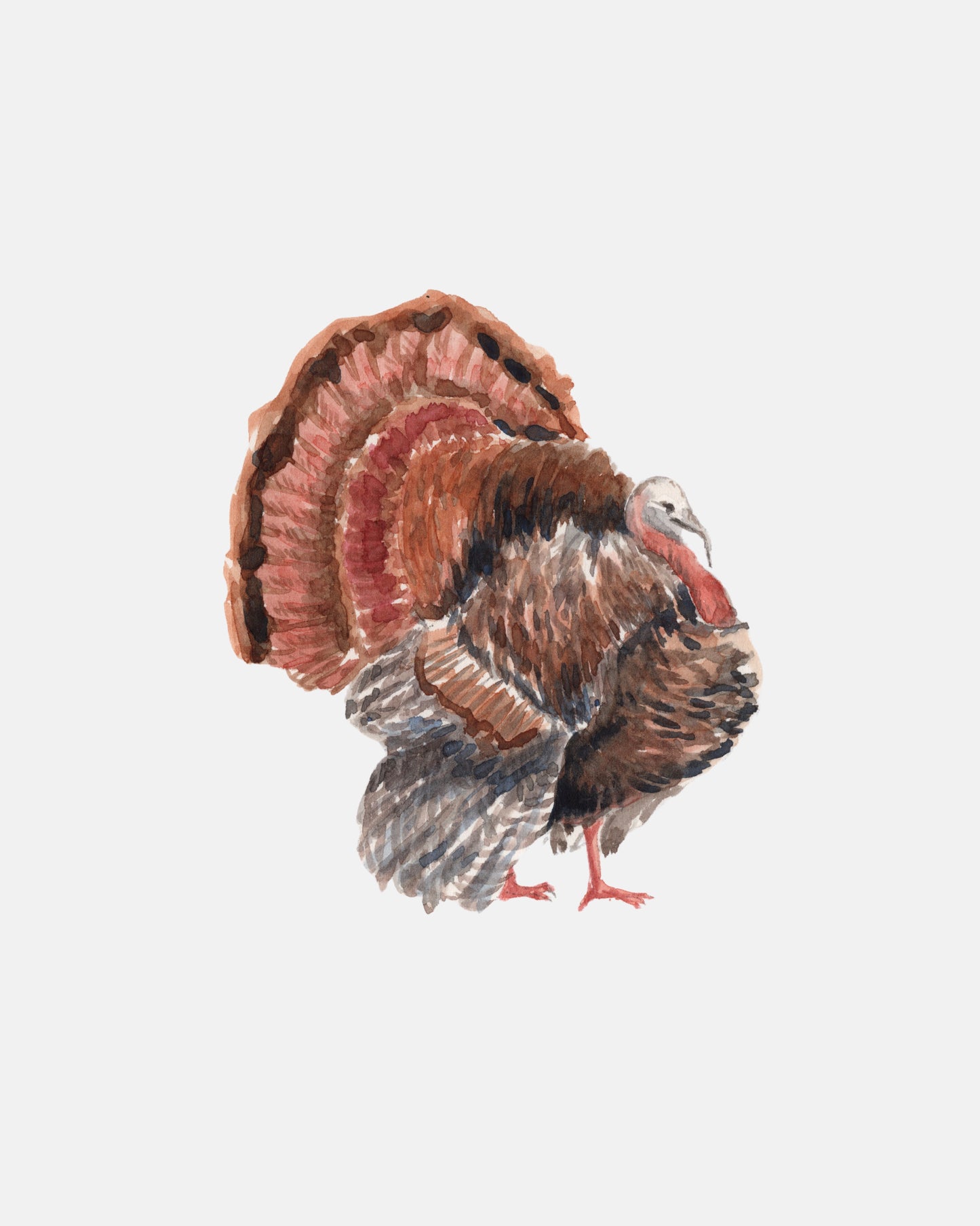 Turkey Print