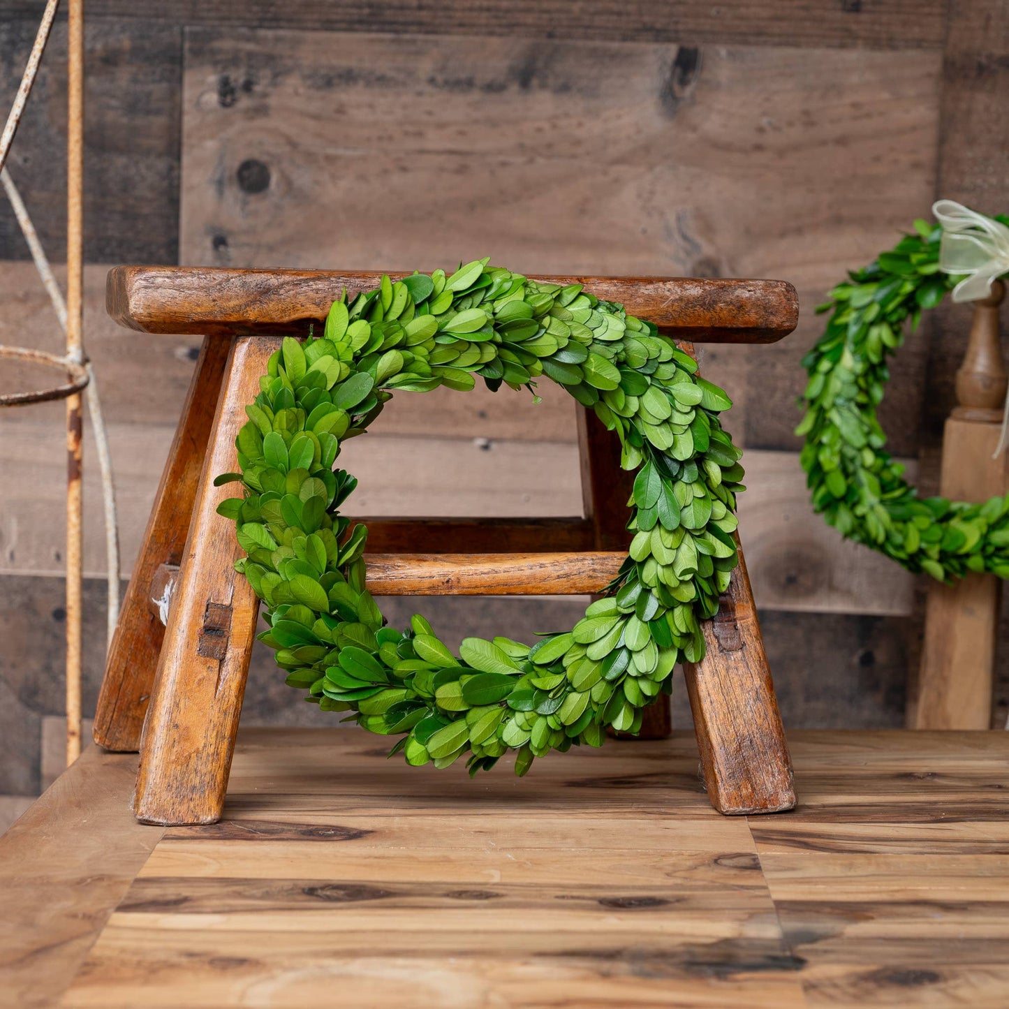 Preserved Boxwood Candle Ring - 8 Inch