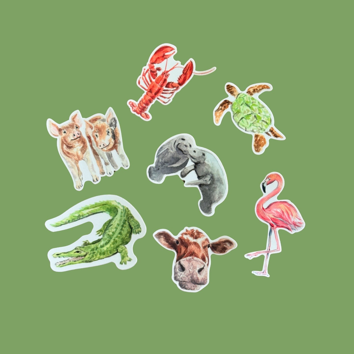 Florida Wildlife Stickers – Watercolor Animal Vinyl Stickers